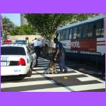 Police Check to Get In.jpg